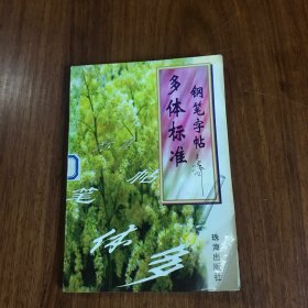 多体标准钢笔字帖 李洪川(馆藏书)