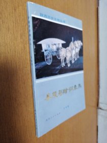 秦陵彩绘铜车马（陕西历史文物丛书）一版一印  私藏 品好  （4-2架）