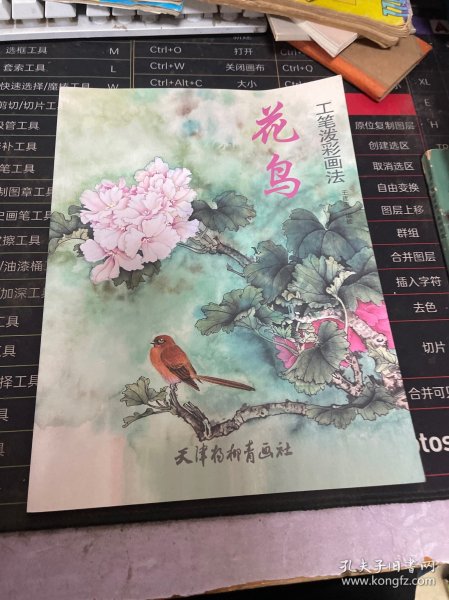 花鸟工笔泼彩画法