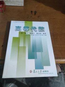 大学数学学习方法指导丛书：高等代数