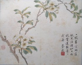 蔡铣 花卉作品