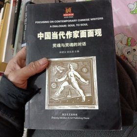 中国当代作家面面观.灵魂与灵魂的对话