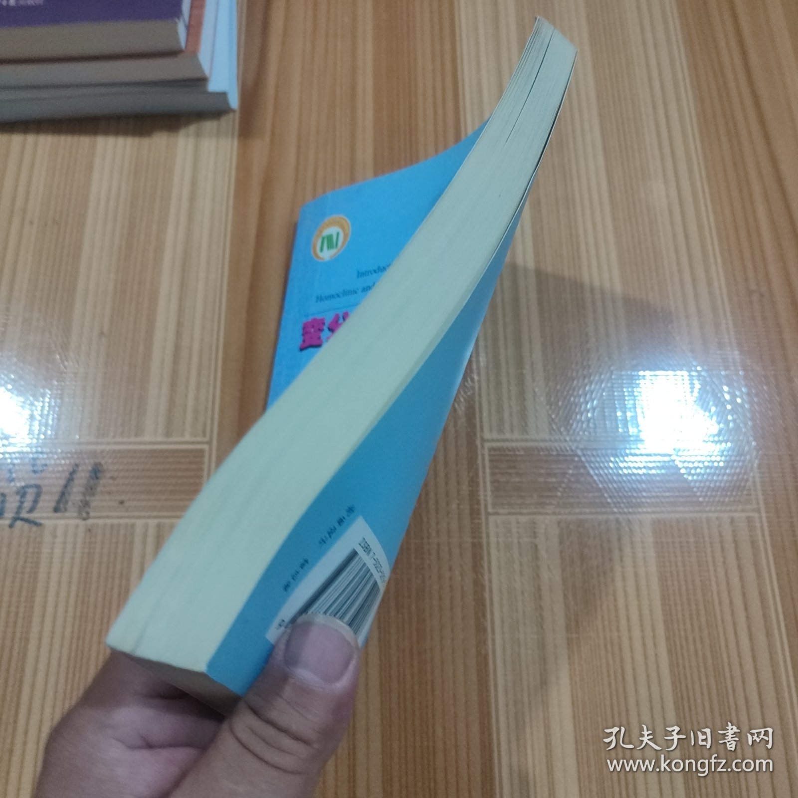 变分法与哈密顿系统同宿轨道和异宿轨道引论