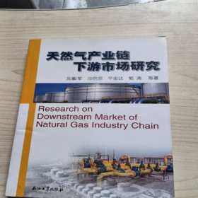 天然气产业链下游市场研究
