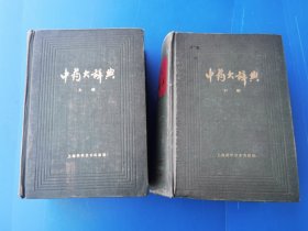 中药大辞典（上下册）