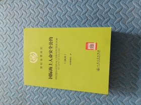 国际海上人命安全公约（2020）
