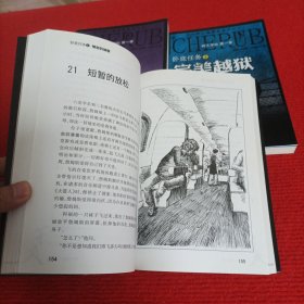 卧底任务.：愤怒的城堡、完美越狱、案中案、大营救【4本合售】
