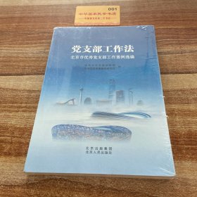 党支部工作北京市党支部工作案例选编 党史党建读物 本书编委会 新华正版