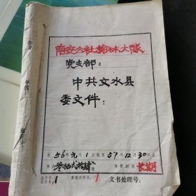 1956年南安公社榆林大队党支部中共文水县委文件