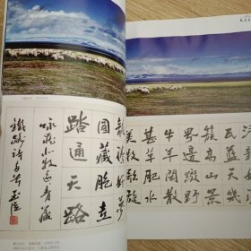 中国书法 2013.08 韩玉臣 大美至纯 书法 摄影 油画 诗词作品选