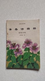 钢笔字帖-青春诗精粹