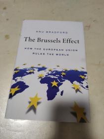 The Brussels Effect : How the European Union Rules the World