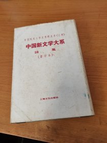 中国新文学大系 诗集影印本（第八集）