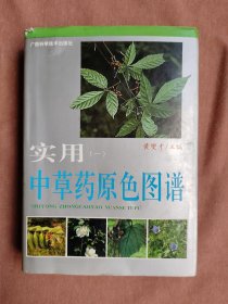 实用中草药原色图谱（1）