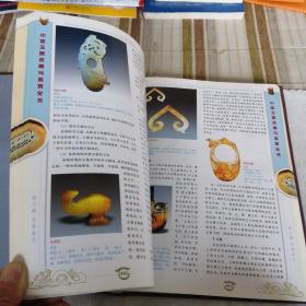 中国玉器收藏与鉴赏全书下卷(谢天宇)