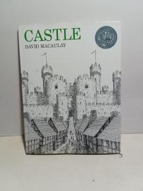 Castle 精装 /David Houghton