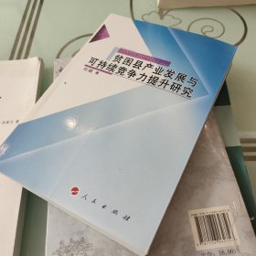 贫困县产业发展与可持续竞争力提升研究