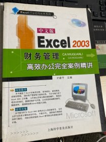 中文版 Excel 2003财务管理高效办公完全案例精讲