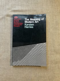 The Meaning of Modern Art: A Philosophical Interpretation (Northwestern University Studies in Phenomenology and Existential Philosophy) 现代艺术的意义 卡斯滕·哈里斯【英文版】