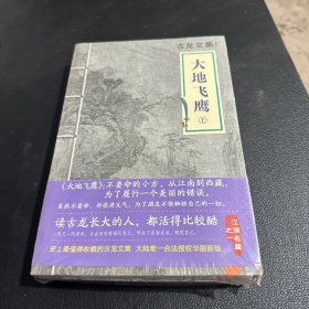 大地飞鹰：上下册