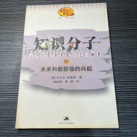 知识分子的未来和新阶级的兴起