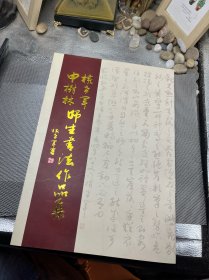 申树林权希军师生书法 作品集