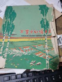 五六十年代舊書 萬紫千紅塔里木 插圖本 方形本