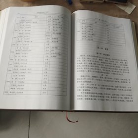 东四王村志.