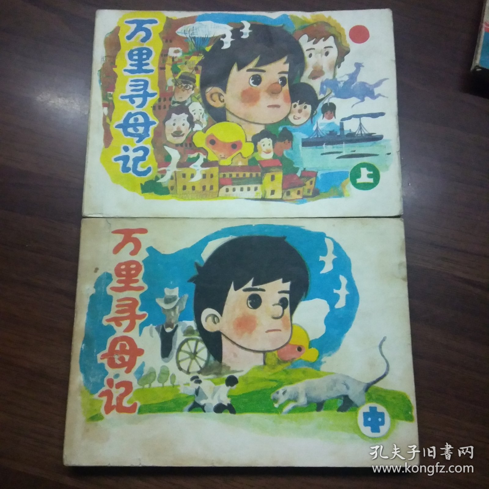 万里寻母记（上中册）