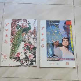 广西画报 1978年 3 6期