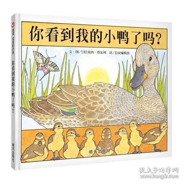 信谊宝宝起步走：你看到我的小鸭了吗？