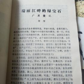 孔雀开屏迊朝阳——100号