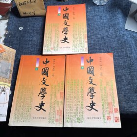 中国文学史上中下3册全