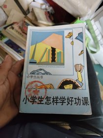 小学生丛书：小学生怎样学好功课