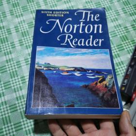 the norton reader an expository prose