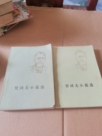 契河夫小说选上下