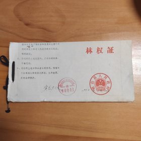 1982年山东省桓台县唐山公社贾家大队林权证存根约100张合售