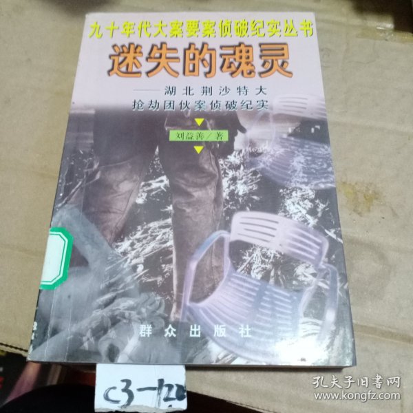 迷失的魂灵--湖北荆沙特大抢劫团伙案侦破纪实