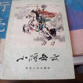 小将岳云