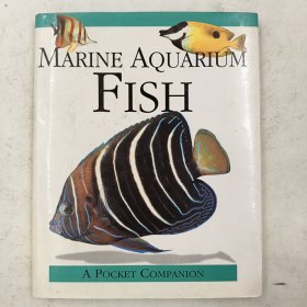 Marine Aquarium Fish (Pocket Companion)