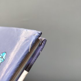 我的第一套视觉百科：地震
