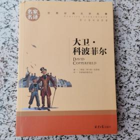 大卫 科波菲尔 中小学生课外阅读书籍世界经典文学名著青少年儿童文学读物故事书名家名译原汁原味读原著