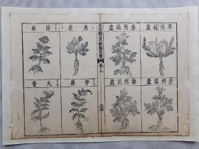 本草纲目草部隰草图8个.单州漏芦.泰州漏芦.飞廉.沂州漏芦.海州漏芦.大青等.清刻古籍一页.传统手工托裱.老.破.残完美主义者勿扰.

可装镜框装饰书房、工作室.多件自动合并邮资.不议价.