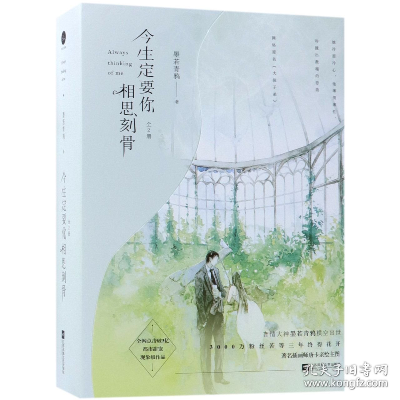 今生定要你相思刻骨