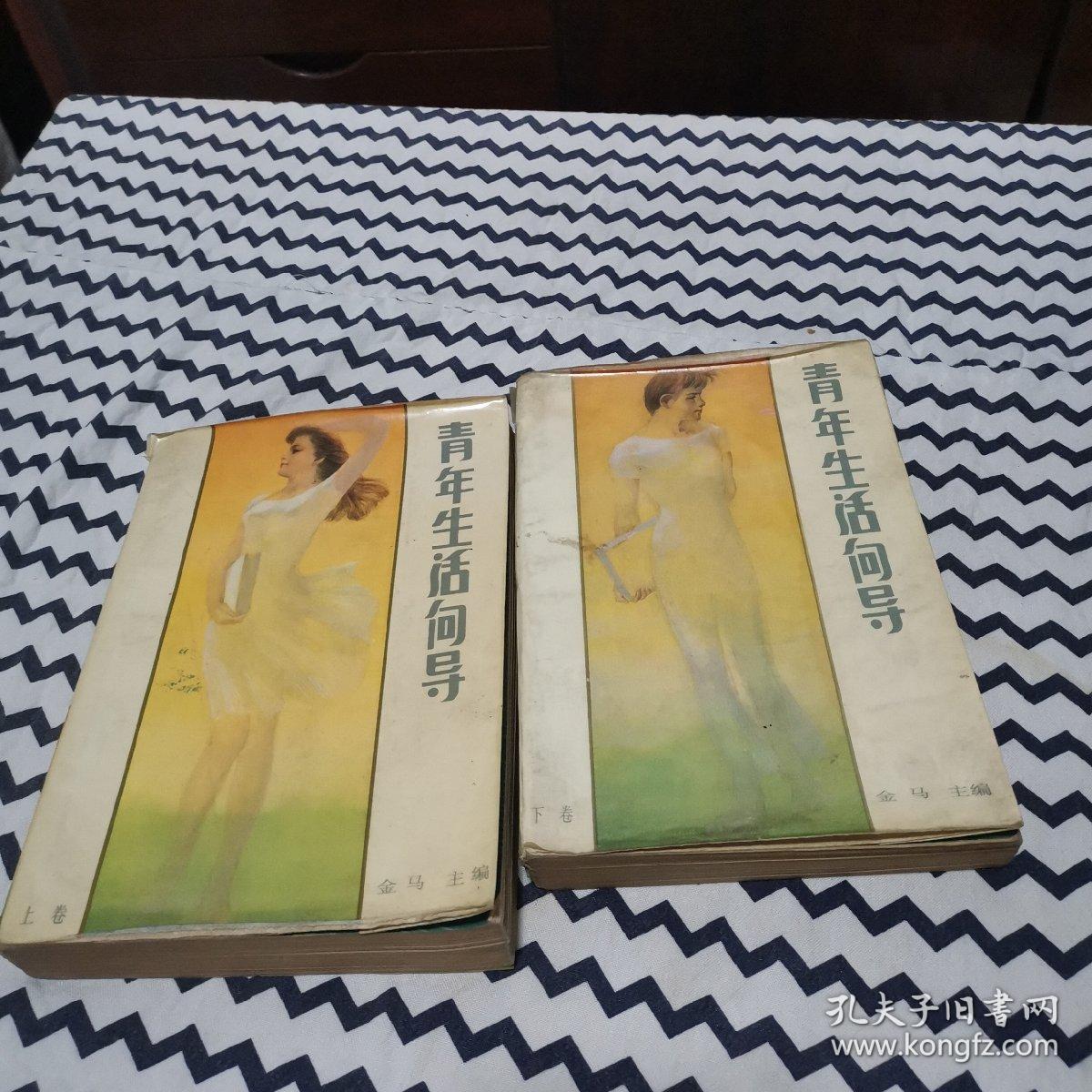 青年生活向导 （上下）