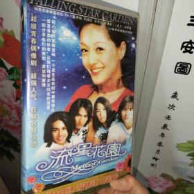 流星花园 20片装 珍藏版 VCD