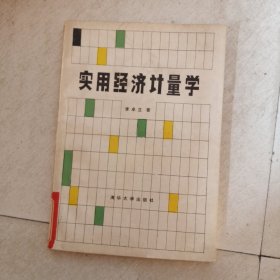 实用经济计量学