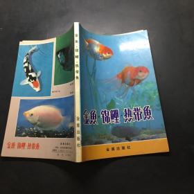 金鱼锦鲤热带鱼