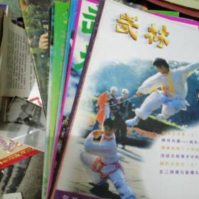 武林杂志，1991.1992.1993.1994.1995..1996.1997.19
98全年共8套96册合售