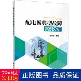 配电网典型故障案例分析 电子、电工 作者